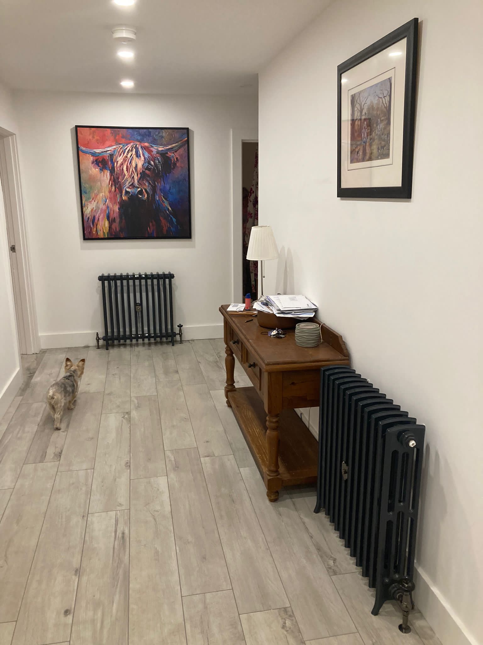 Aluminium radiator in a home